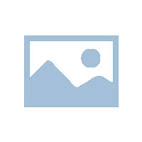 鄭州滅老鼠公司管用嗎？